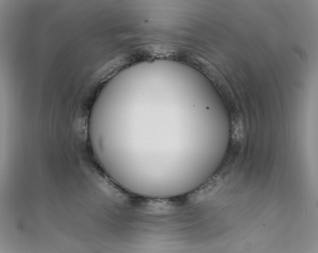 X0000108480666200904171612