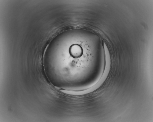 X0000108480667200904171612