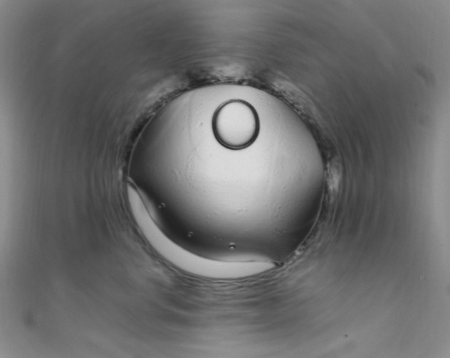 X0000108480668200904171612