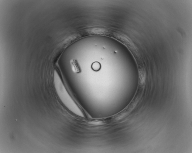 X0000108480669200904171612