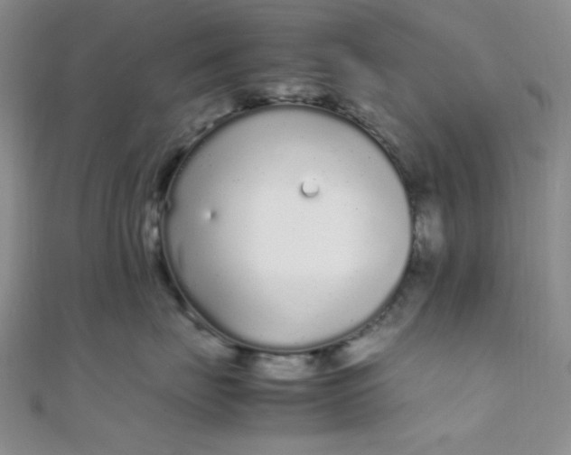 X0000108480671200904171612