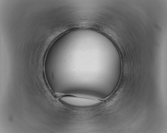 X0000108480673200904171611