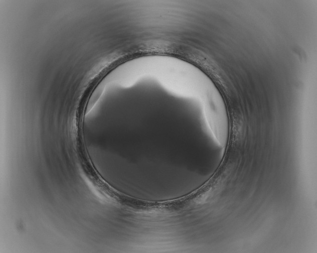 X0000108480674200904171611