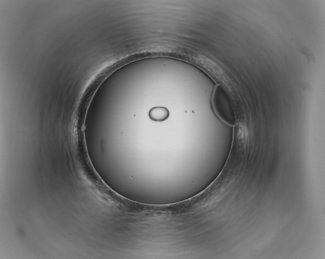 X0000108480676200904171611