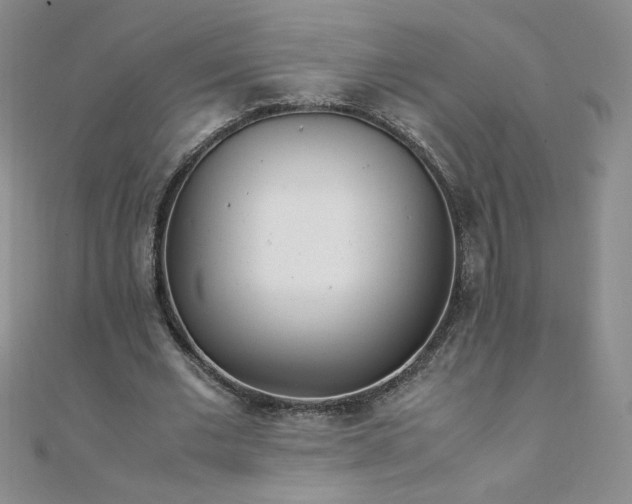 X0000108480677200904171611