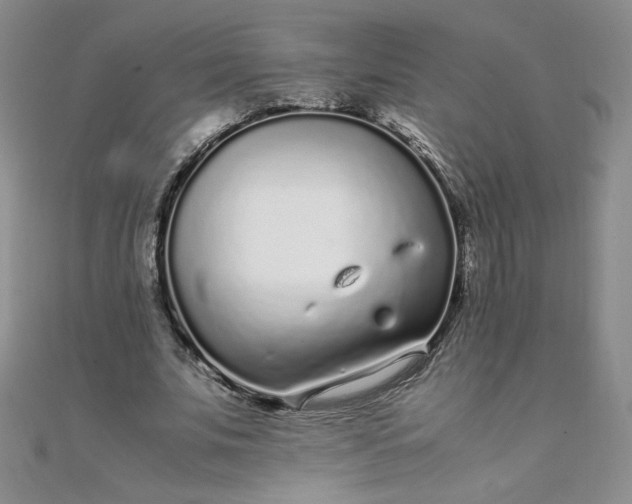 X0000108480679200904171611