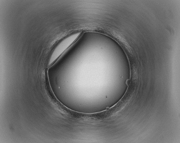 X0000108480681200904171611