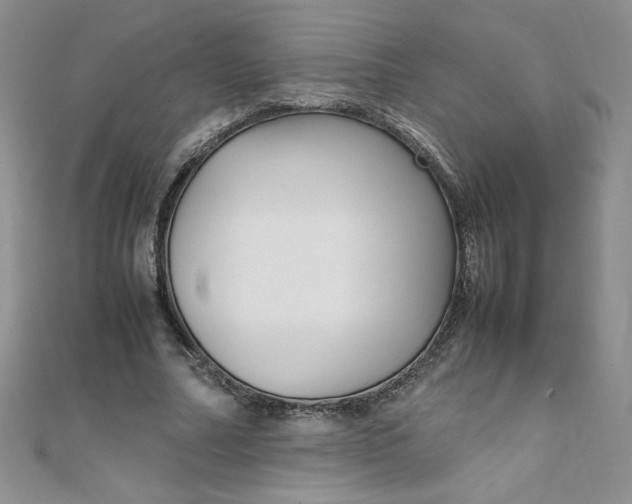 X0000108480682200904171611