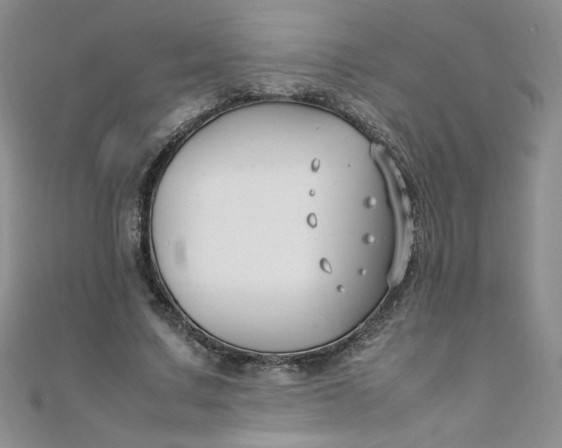 X0000108480683200904171611