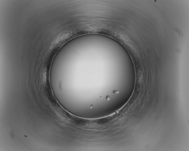 X0000108480685200904171611