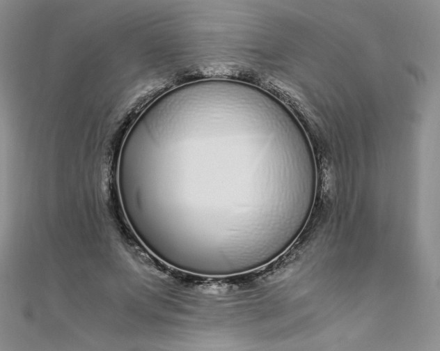 X0000108480687200904171611