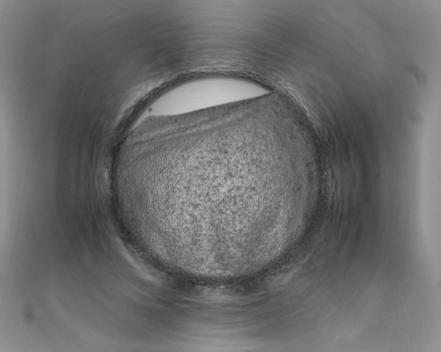 X0000108480688200904171611