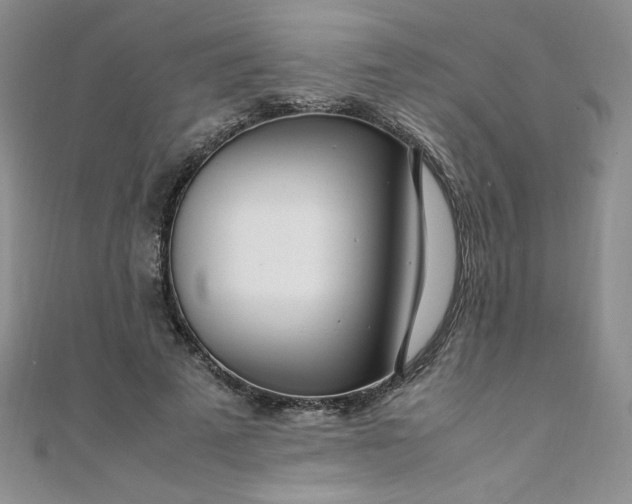 X0000108480689200904171611