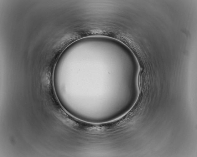 X0000108480691200904171611