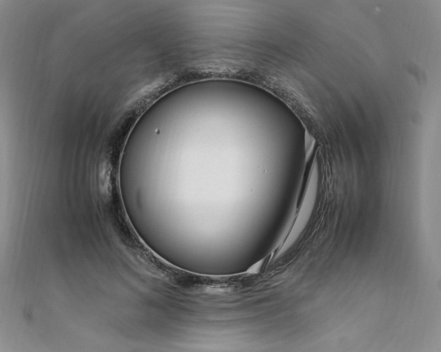 X0000108480692200904171611