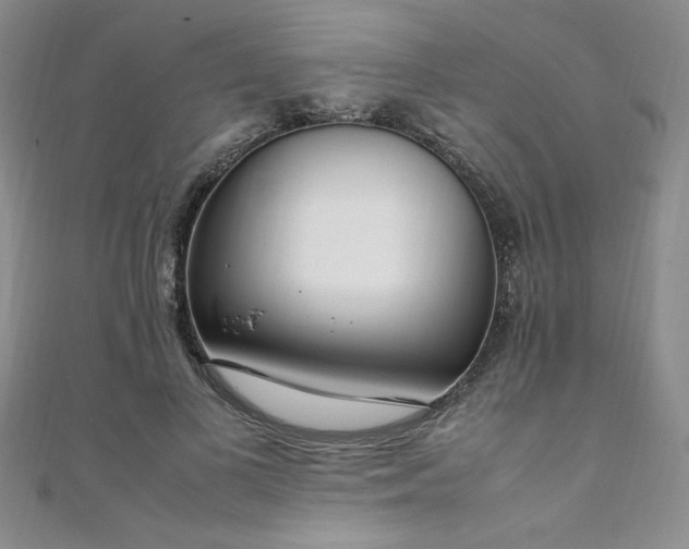 X0000108480693200904171611