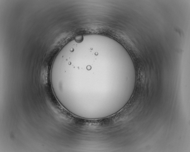 X0000108480694200904171611