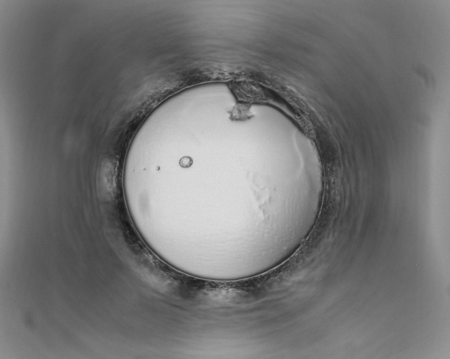 X0000108480695200904171611