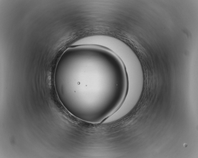X0000108480696200904171611