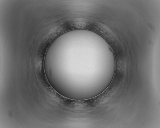 X0000108480697200904171611