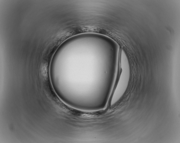 X0000108480699200904171611