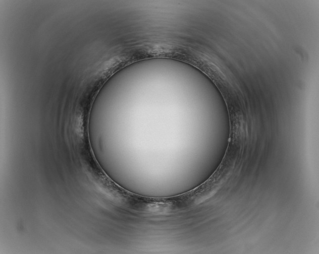 X0000108480700200904171611