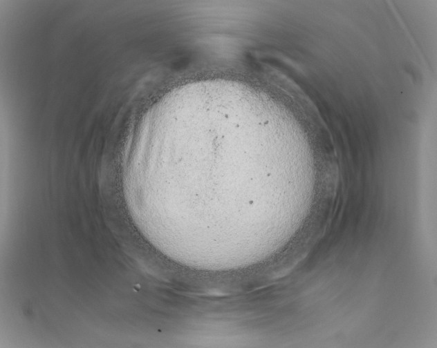 X0000108480701200904171611