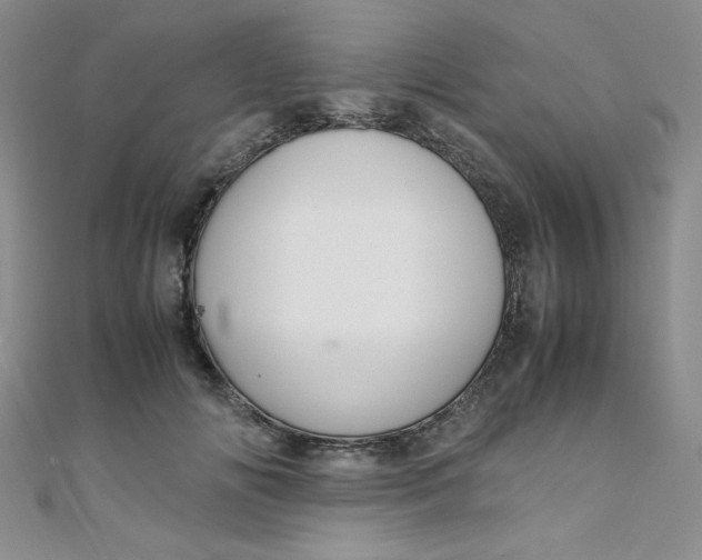 X0000108480702200904171611