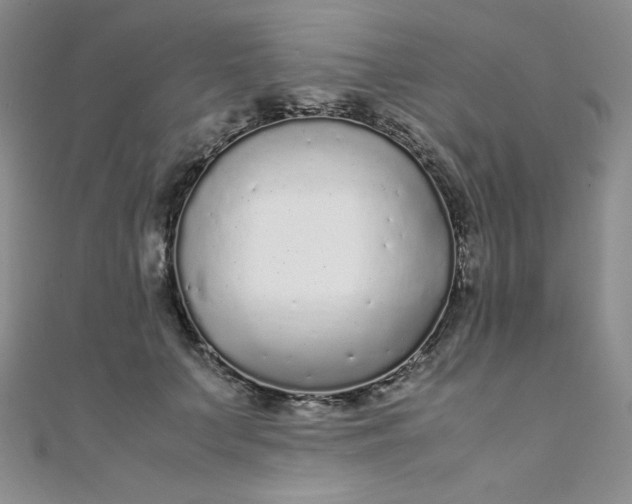 X0000108480703200904171611