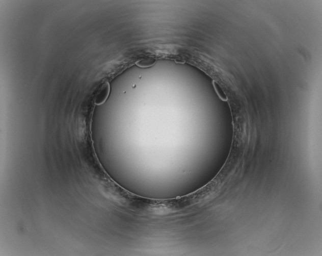 X0000108480704200904171611