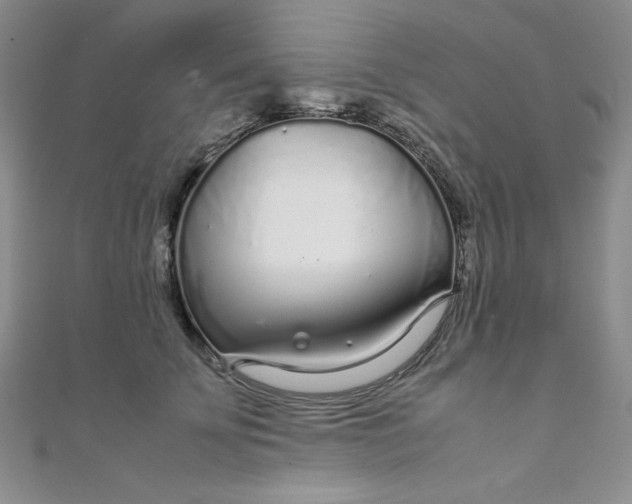 X0000108480707200904171611