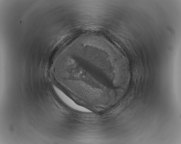 X0000108480708200904171611