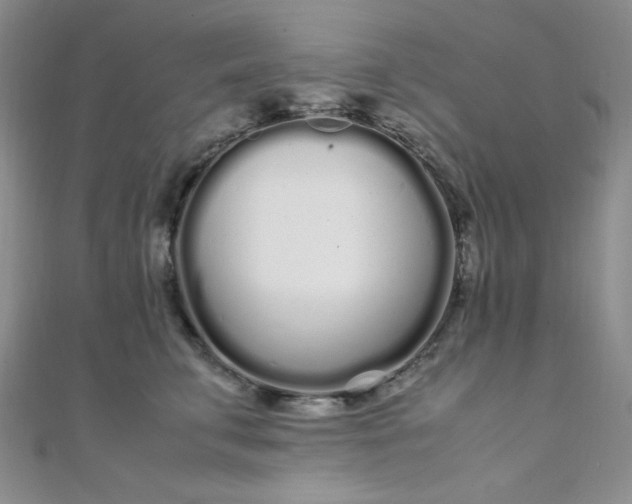 X0000108480711200904171611