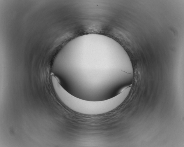 X0000108480714200904171611