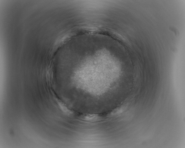 X0000108480720200904171611