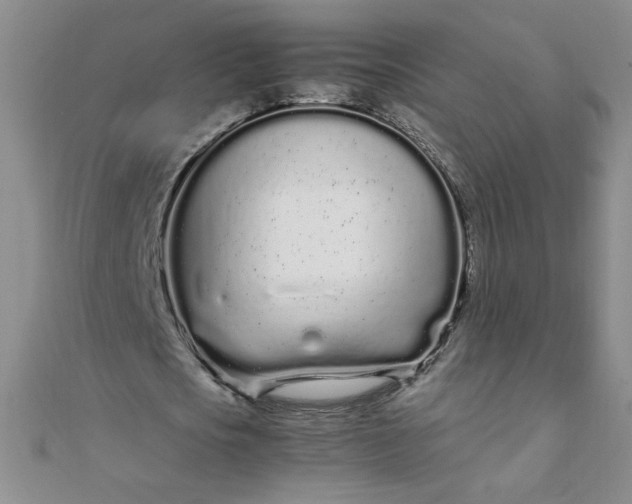 X0000108480721200904171610