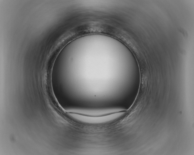 X0000108480722200904171610