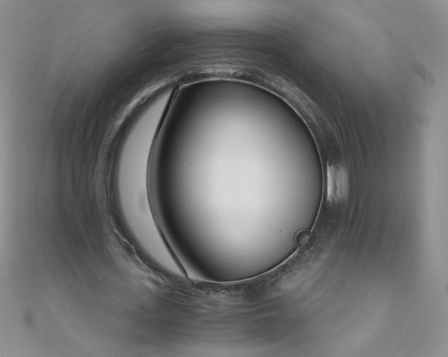 X0000108480723200904171610