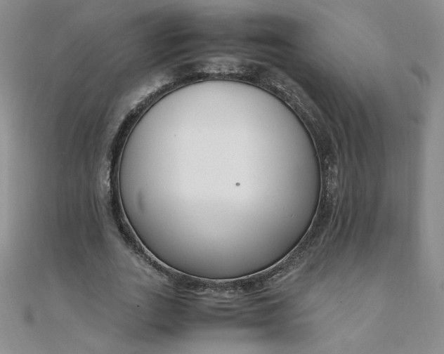 X0000108480727200904171610