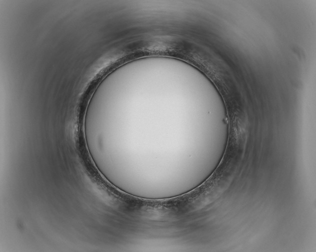 X0000108480728200904171610