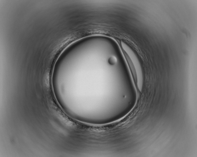 X0000108480729200904171610