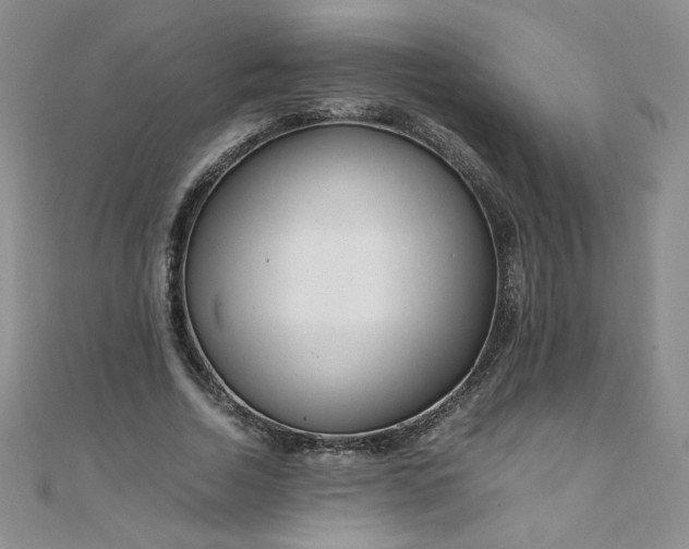 X0000108480730200904171610