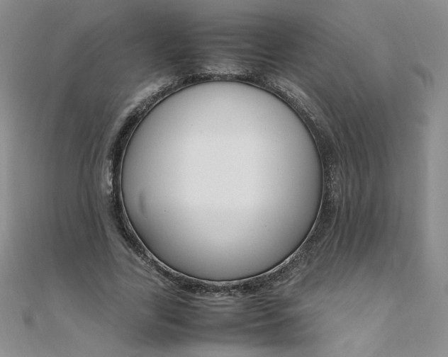 X0000108480731200904171610