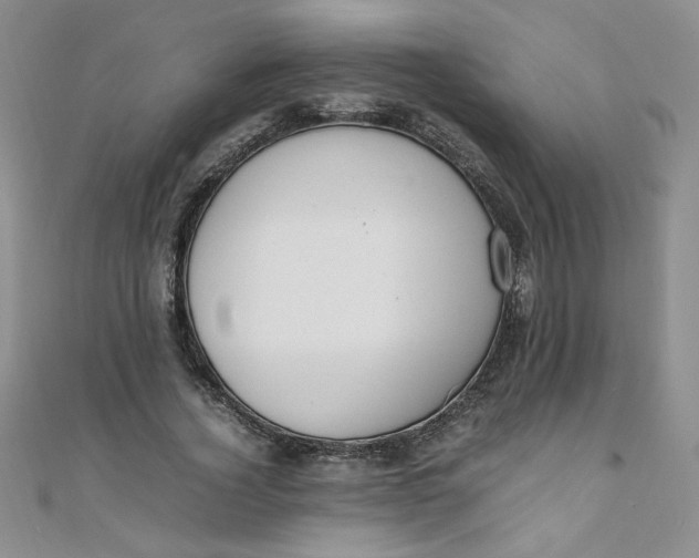 X0000108480732200904171610