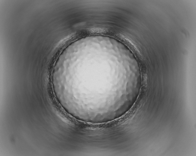 X0000108480733200904171610