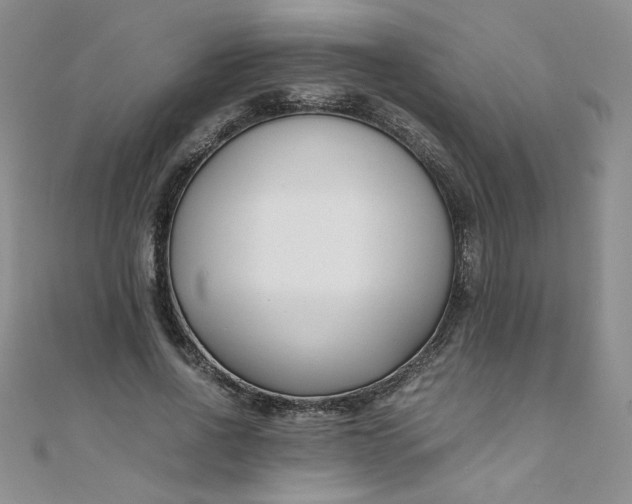 X0000108480734200904171610