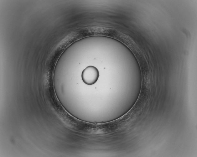 X0000108480735200904171610