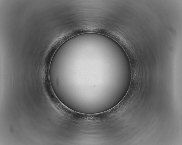 X0000108480736200904171610