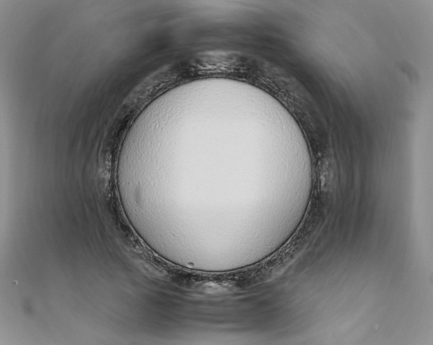 X0000108480737200904171610