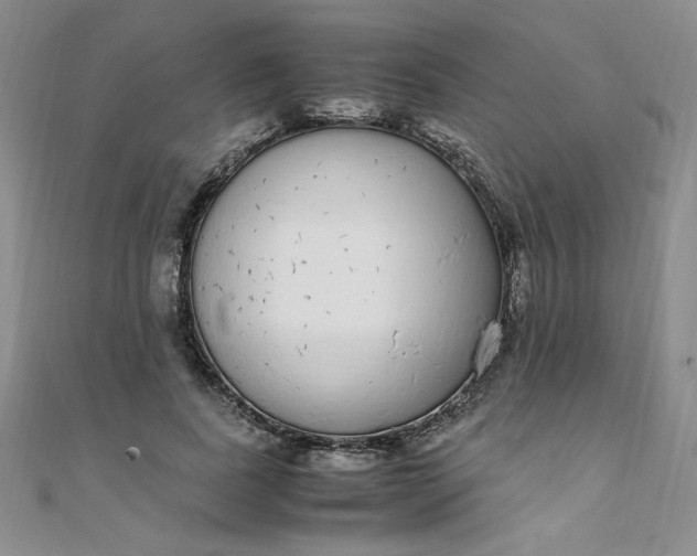 X0000108480739200904171610